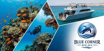 Full Day Diving Trip Hurghada